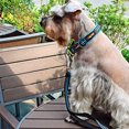 thumbnail image 3 of Collar para perro con hilo fino azul, 3 of 5