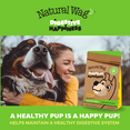 thumbnail image 6 of Natural Wag Fiber For Dogs , All-Natural Psyllium Fiber Supplement for Dogs Digestion & General Health, 6 of 6