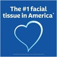 thumbnail image 6 of Trusted Care Everyday Facial Tissues, 6 Rectangular Boxes, 100 Tissues per Box (600 Tissues Total), 6 of 8
