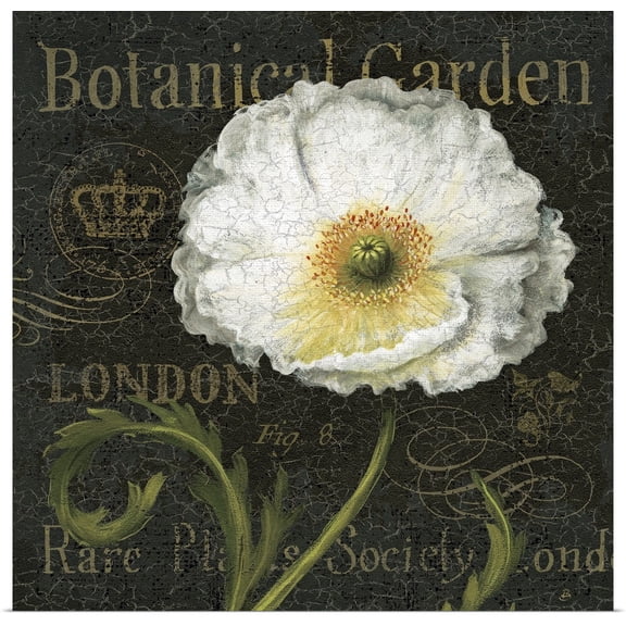 Great BIG Canvas | Rolled Daphne Brissonnet Poster Print entitled Botanical Garden II