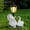 A, variant on Porch Goose Statue with Solar Lantern,Solar Garden Goose Statue Light,Outdoor Garden Statues Resin Animal Seabird Pelican Seahorses Geese Figurine for Patio Lawn Desktop Decor