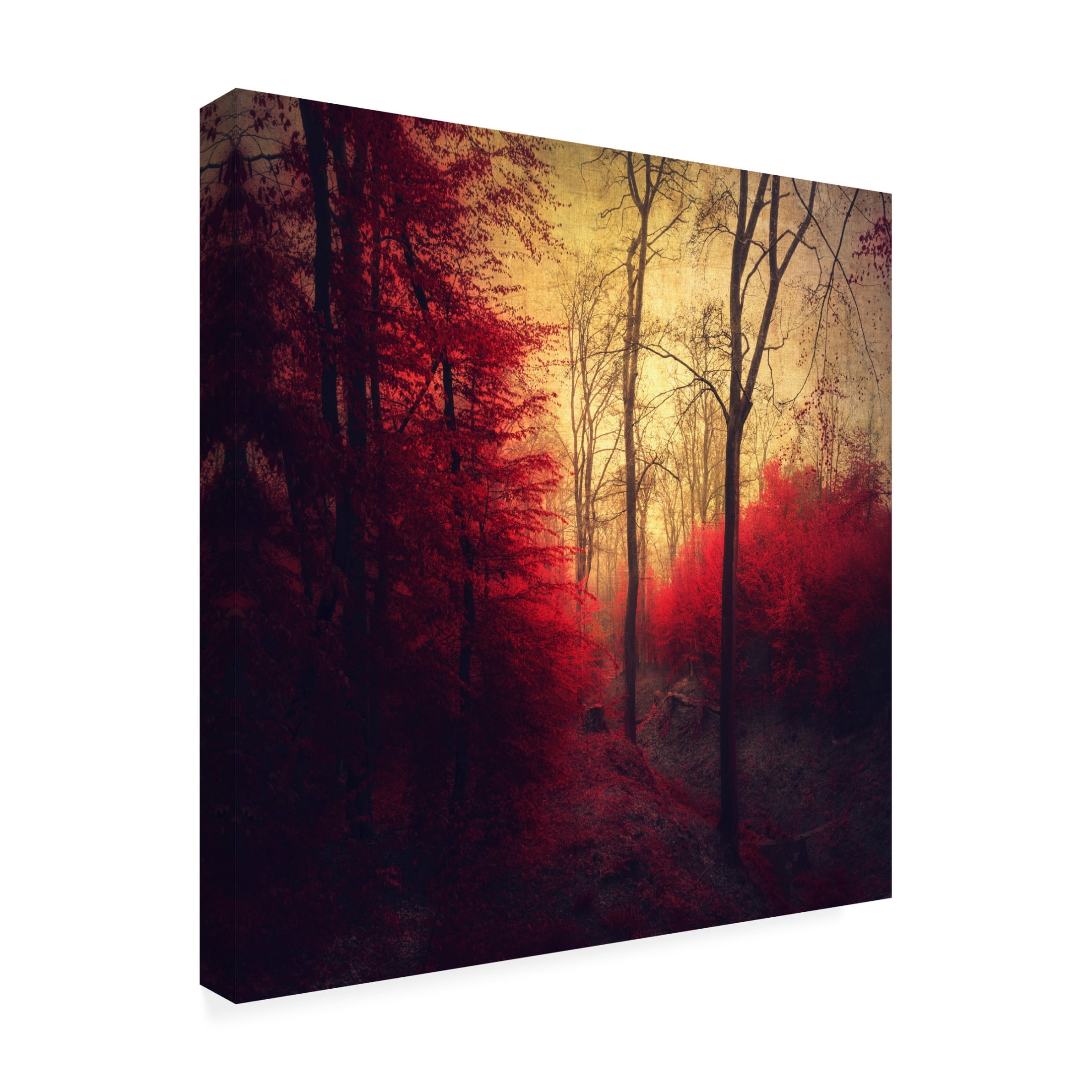 Canvas Wall Art - Dirk Wüstenhagen 'Ruby Red Forest' Wall Art for Living Room, Bedroom, or Office Décor by Trademark Fine Art - 35 x 35 Inches