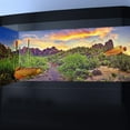 thumbnail image 4 of 24X12IN Reptile Habitat Background Rock Blue Sky Oasis Cactus Sunset Desert Terrarium Background with 8 EVA Double-Sided Tape, 4 of 5