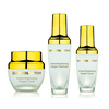 Donna Bella Cosmetics - 24K Instant Brightening Set