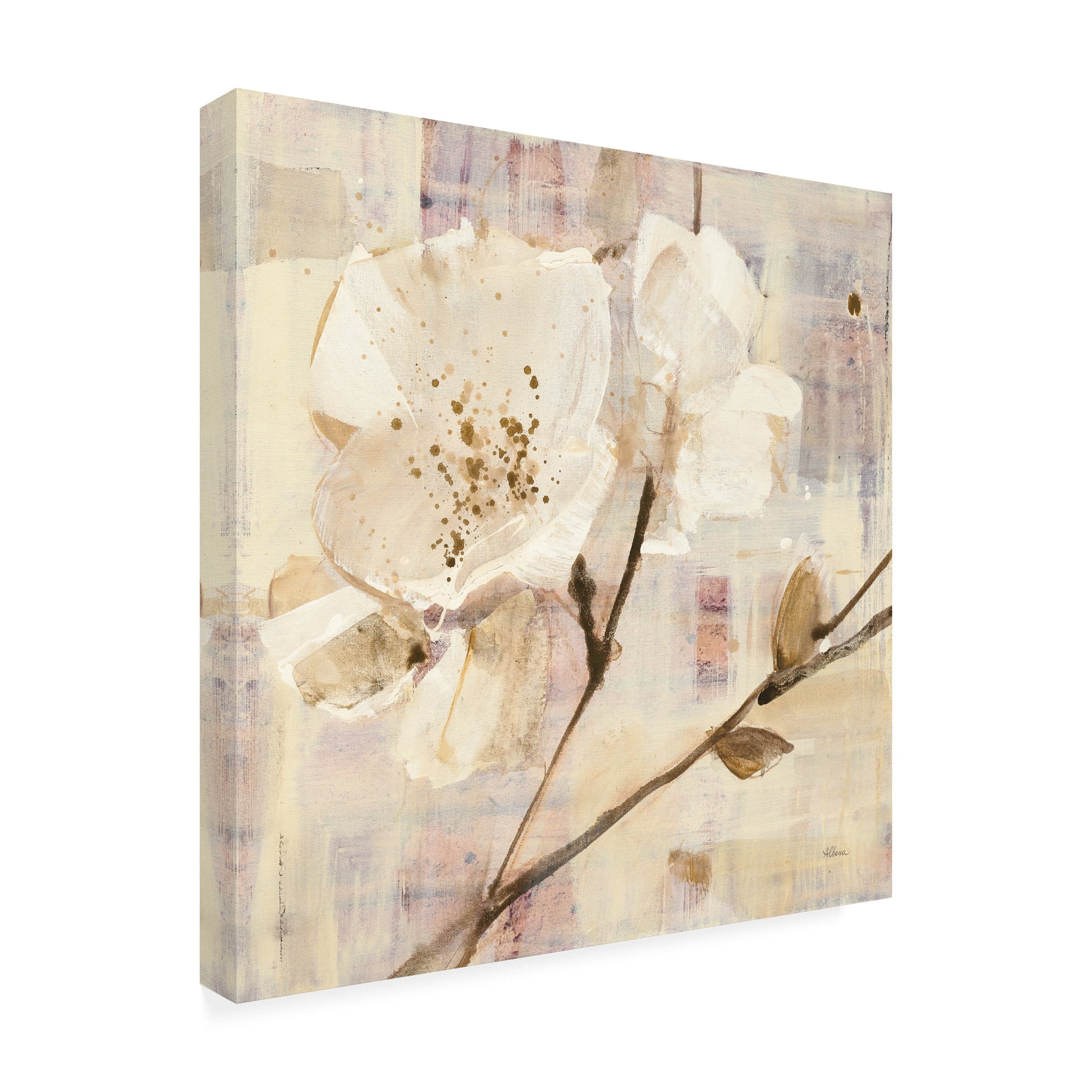 Trademark Fine Art 'Elegance I' Canvas Art by Albena Hristova