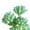 Green, variant on Artificial Flocked Plants Plastic Succulent Unpotted Assorted Realistic Plants Fake Textured Succulent Picks for DIY Home Landscape Decorations Office Hotel Decoration