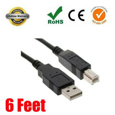 Compatible Hp C6518a High Speed USB 2.0 Printer Cable for Epson, Canon, Hewlett-packard, Dell, Kodak, Lexmark and Many More! Lifetime