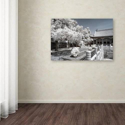Trademark Fine Art "Reflection" Canvas Art by Philippe Hugonnard