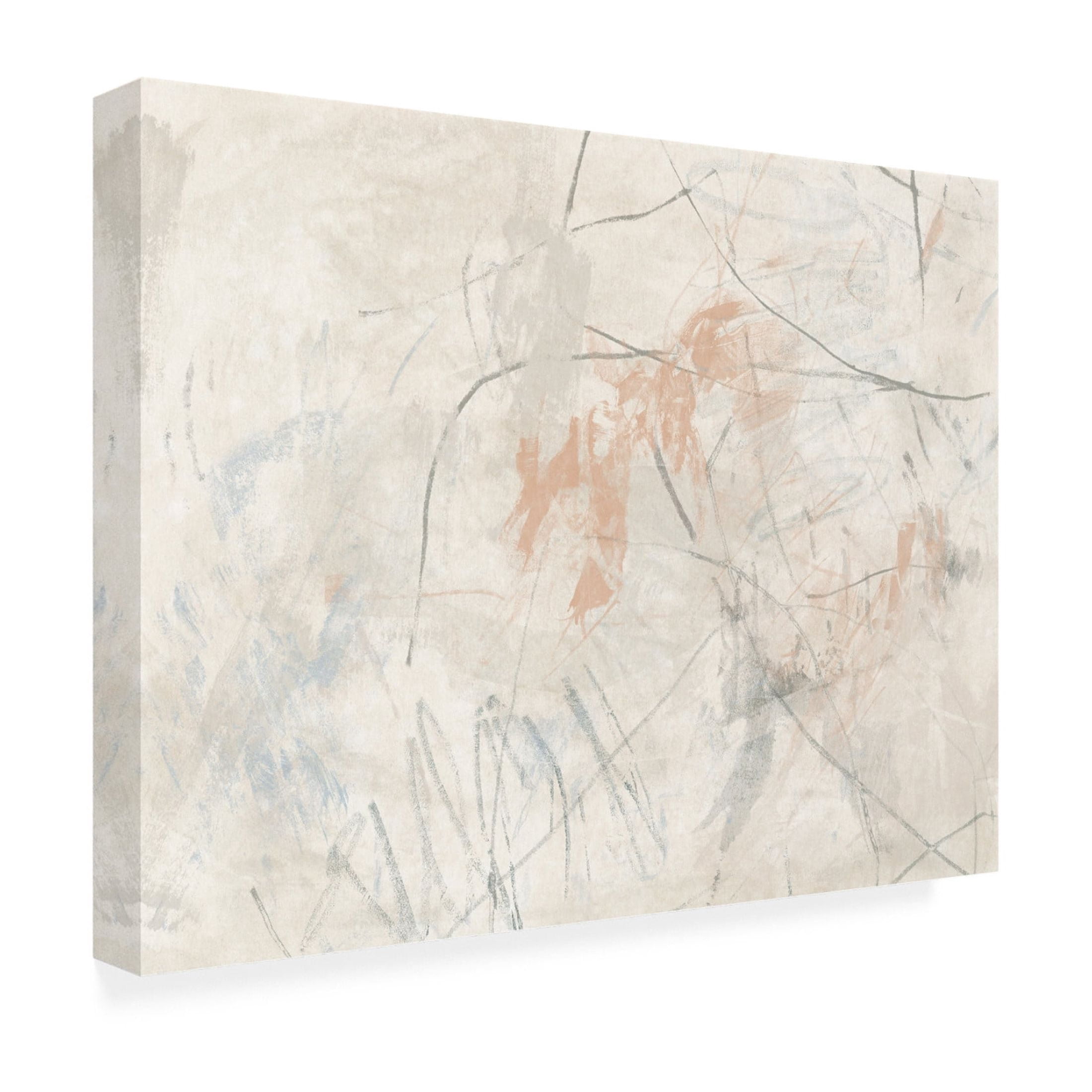 Trademark Fine Art June Erica Vess Terre Cotta Trace II Canvas Wall Art
