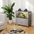thumbnail image 5 of WAYTRIM 36 Gallon Reptile Terrarium with Stand, 5 of 11