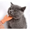 thumbnail image 3 of Jouets pour Doigts Chat Mignon Mini Mains Toucher Jouet pour Joues 1 Paire de Doigts, 3 of 4