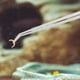 thumbnail image 4 of BESTYASH 2Ud Pinzas Largas Para Acuario Y Terrario Con Punta Curva Y Recta De Metal Plata, 4 of 8