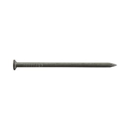 Ace 6D 2 in. Common Bright Steel Nail Round Head 1 lb Ace 6D 2 in. Common Bright Steel Nail Round Head 1 lb