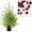 B(Including Christmas ball set), variant on 2FT Pre-Lit Artificial Norfolk Pine Christmas Tree with LED String Lights,Tabletop Christmas Tree with Multicolored Hanging Christmas Balls Ornaments,for Home,Office,Holiday Xmas Decor