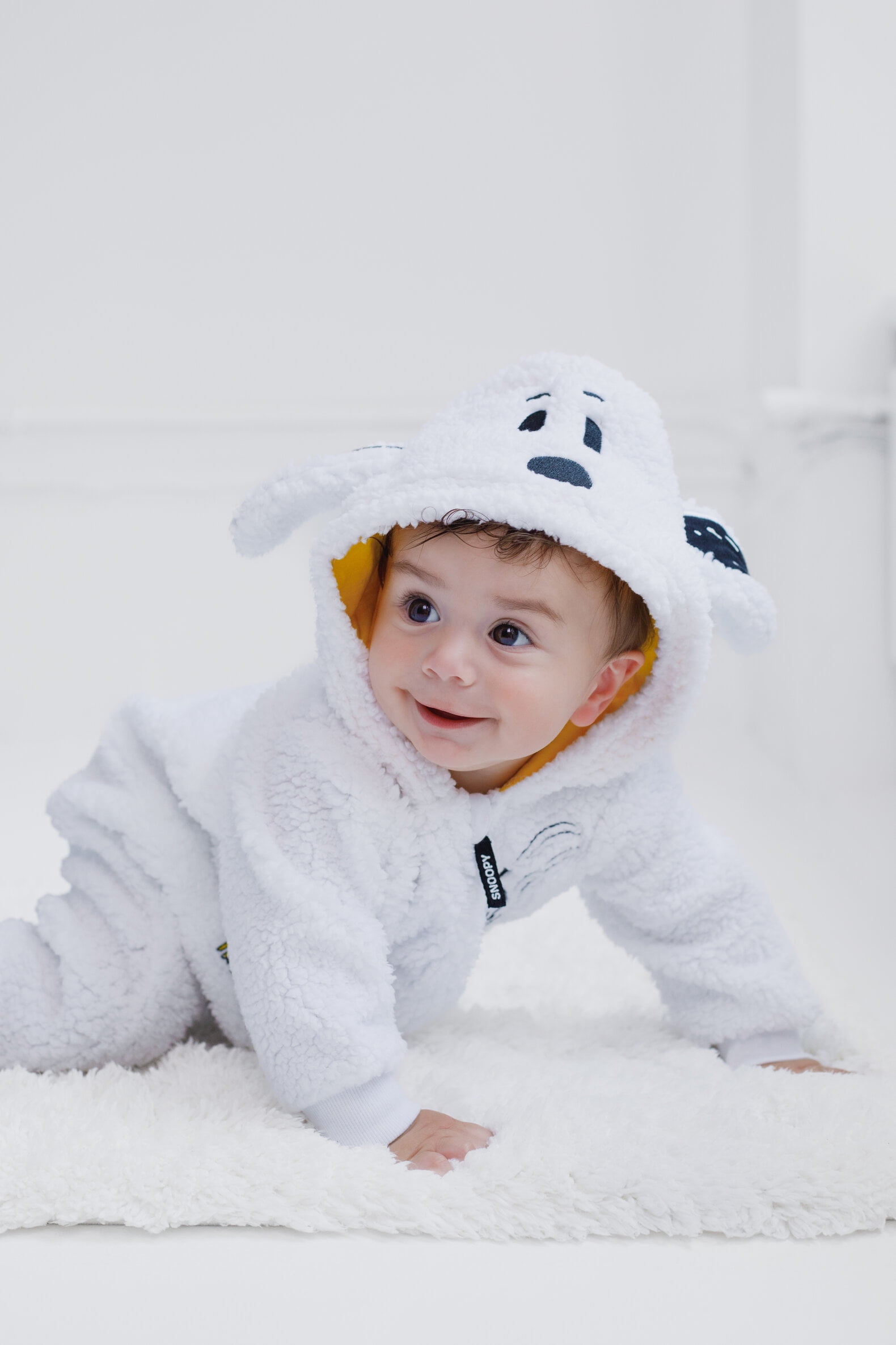 dc5dc231-119e-4c3a-b80f-