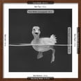 thumbnail image 5 of Art.com Duckling Swimming on Water Surface, UK Photographic Print by Jane Burton, Brown Frame Wall Art, 21" x 21", 5 of 5