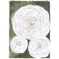 thumbnail image 2 of Shamp, Cindy 24x32 Gold Ornate Wood Framed with Double Matting Museum Art Print Titled - Big White Flowers II, 2 of 4
