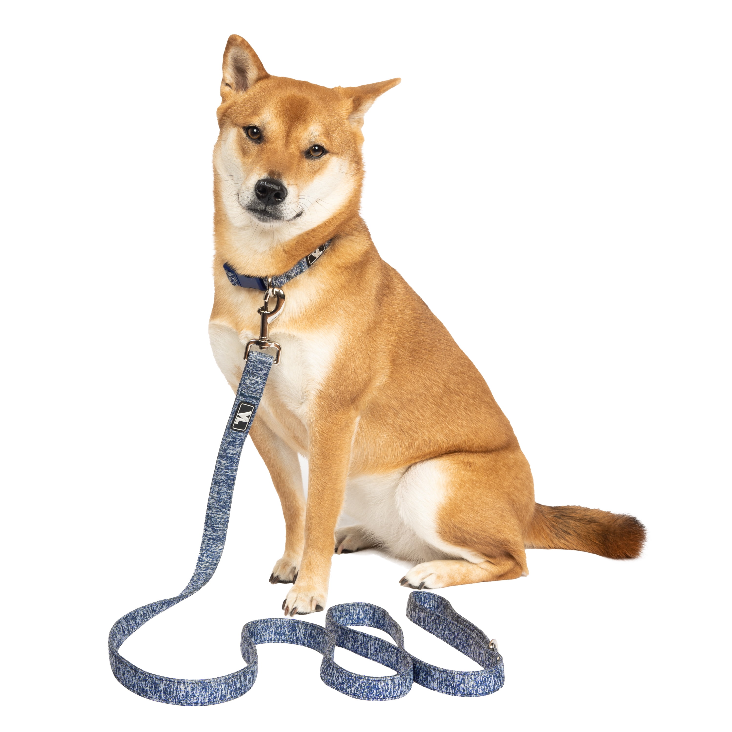 Vibrant Life 6 ft Space Dye Standard Dog Leash, Blue