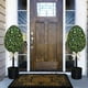 thumbnail image 3 of Bunny Boxwood Topiaries Easter Simulation Boxwood Leaf Potted Ornament en Maceta Negra para Entradas, Porches O Pantallas Interiores, 3 of 8