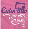 thumbnail image 2 of Colorado CO Bear State Shape Filagree Women's Graphic T Shirt Tees Brisco Brands S, 2 of 6