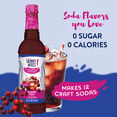 thumbnail image 2 of Jordan's Skinny Mixes Sugar Free Cherry Cola Syrup , 25.4 Fl Oz, 2 of 5