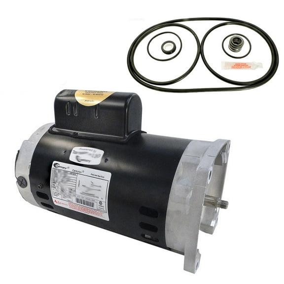 Puri Tech Replacement for Challenger 2HP CFI-NI-2FE Replacement Motor Kit AO Smith B2843 w/GO-KIT-5
