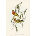 thumbnail image 2 of Gould, John 11x14 Gold Ornate Wood Framed with Double Matting Museum Art Print Titled - Varied Lorikeet-Trichoglossus versicolor, 2 of 4