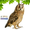 thumbnail image 3 of Bird Repel Scarecrow, Owl Scarecrow Scarer Pendant, Decorative Scarer Pendant with Bell, Fake Bird Scare Device, Waterproof Patio Balcony Garden Decorations, 3 of 10