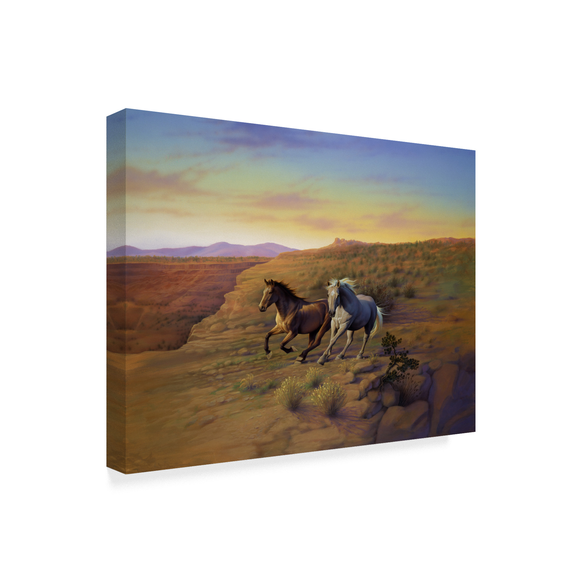 Trademark Fine Art 'Western Skies' Canvas Art by Kirk Reinert