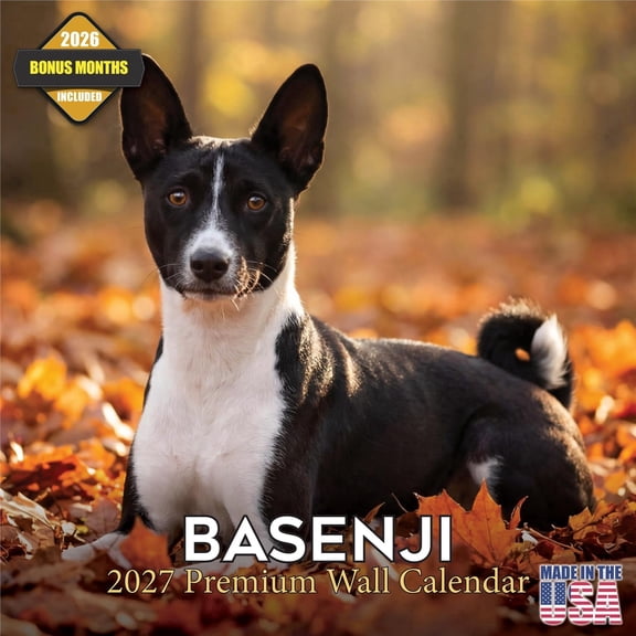 MegaCalendars 2026-2027 Basenji Wall Calendar, 12x12 Bonus Month Monthly Planner, Made in USA