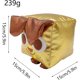 thumbnail image 2 of Xishao Pet Simulator X Titanic Balloon Cat Plush Toys - Big Games Cat Hippomelon Plush - New Pet Simulator X * Ultra Rare (D) D D Xishao Juguetes, 2 of 2