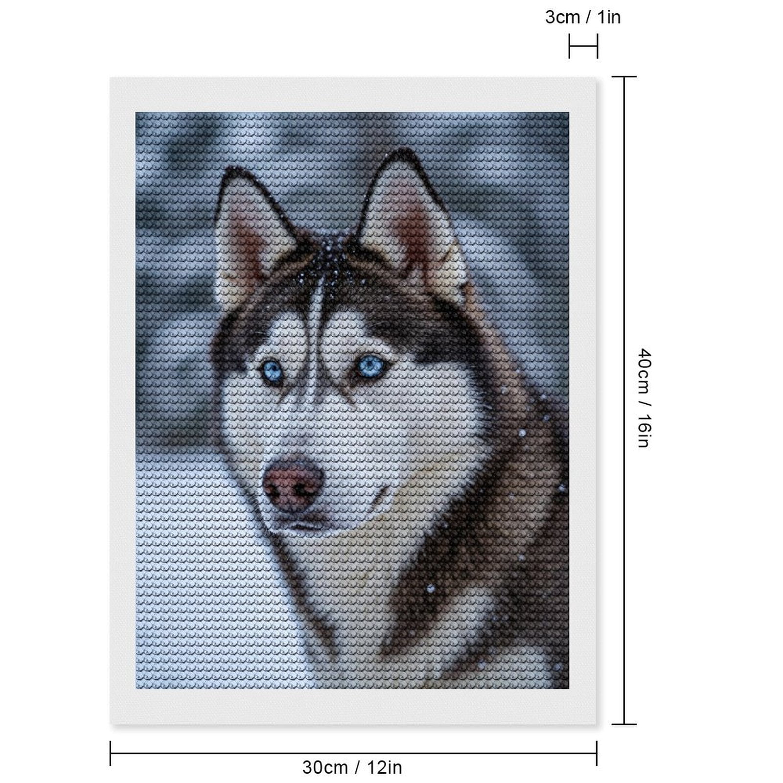 Diamond Art Kit for Adults, Snowy Husky Blue Eyes Winter Scene Diamond Painting for Adults Beginners, 5D DIY Diamond Art Painting Kits, Colorful Diamond Painting Craft for Home Decor 12x16