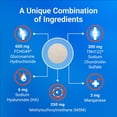 thumbnail image 5 of Nutramax Cosequin for Dogs Joint Health Supplement, Contains Glucosamine for Dogs, Plus Chondroitin, MSM and HA, Supports Healthy Joints, Chewable Tablets, 150 Count, 5 of 7