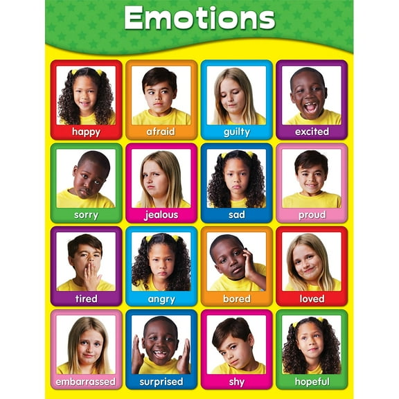 Assorted Publishers Emotions Chartlet 114055