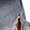 Brown, variant on Womens Summer V Neck Blouses Petal Sleeve Eyelet Casual Cute Tops for Women Button Plain Basic Work Office Shirts