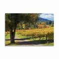 thumbnail image 2 of Gango Home Decor Oak & Vine I by Rita Crane (Printed on Paper); One 36x24in Fine Art Paper Giclee Print, 2 of 4