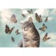 thumbnail image 1 of Pintura de diamante (DE6569) 5D DIY Cat Butterfly Square Animal Art Picture 45x60cm FLhrweasw Nuevo, 1 of 1