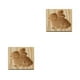 thumbnail image 3 of Injueey Molde para galletas Molde para decoración de galletas en relieve de Hornear Type3 NO3, 3 of 6