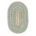 thumbnail image 2 of Colonial Mills Botanical Isle Chenille Braided Area Rug - Kiwi, 2 of 3