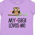 thumbnail image 4 of Inktastic My Gigi Loves Me Girl Owl Girls Toddler T-Shirt, 4 of 5