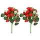 thumbnail image 1 of BRIGHTFUFU 2 piezas de frutas artificiales frutas estéticas rames simulados adornos de fruta falsa, 1 of 8