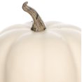 thumbnail image 4 of Harvest PL Short Mini Foam Pumpkin-Cream, 4 of 4