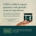 thumbnail image 4 of Gaia Herbs Organic Ashwagandha Gummies - Stress Support* - Made with Cinnamon & Ginger - Gluten Free & Vegan - 81 Count (27 Servings), 4 of 9