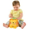 Fisher Price - Lion Activity Block