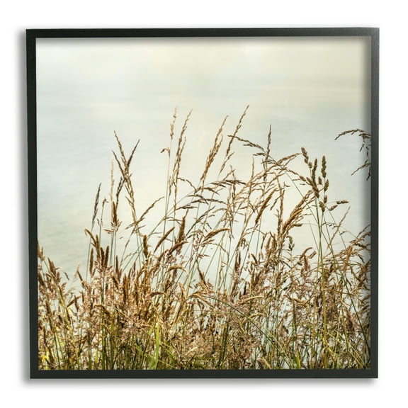Stupell Industries Ocean Reeds Photography Landscape Photography Black Framed Art Print Wall Art, 12 x 12