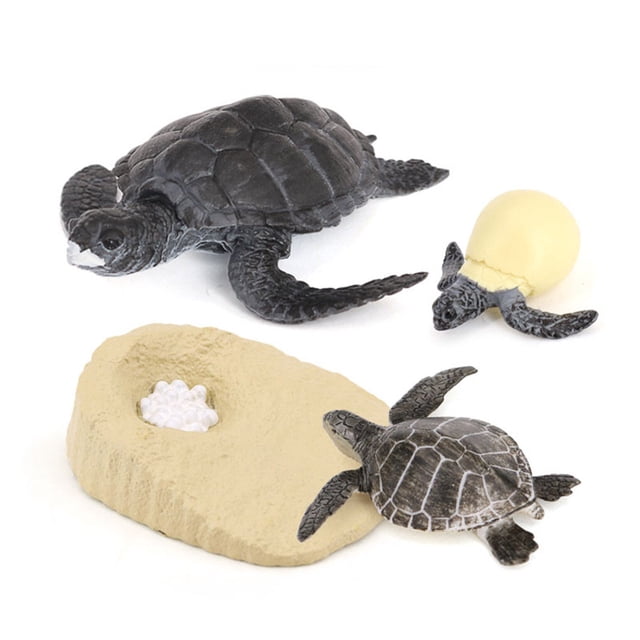 Vogacara 1 Juego de Kit de ciclo de vida de tortuga, creativo, multifuncional, educativo temprano, divertidos modelos cognitivos, animales Juguetes Educativos