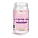 thumbnail image 1 of Colágeno Hidrolizado Sabor Arándano 1.2kg A&G Persea Persea Bote, 1 of 4