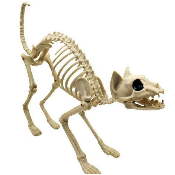 Special Cat Halloween Animal Skeleton Halloween Ornament Animal Skeleton Decoration Props Party Children Gift