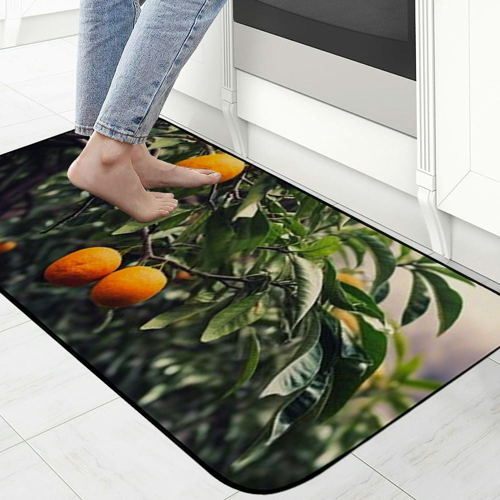 PHYHOO Decorative Door Mat, Door Mat with Non-Slip Rubber Backing, Easy Cleaning, Traps Dirt, Rug for Entry, Patio, Garage - Orange Tree Nature Branch Green Plant Fruit 19.68*47.24 in