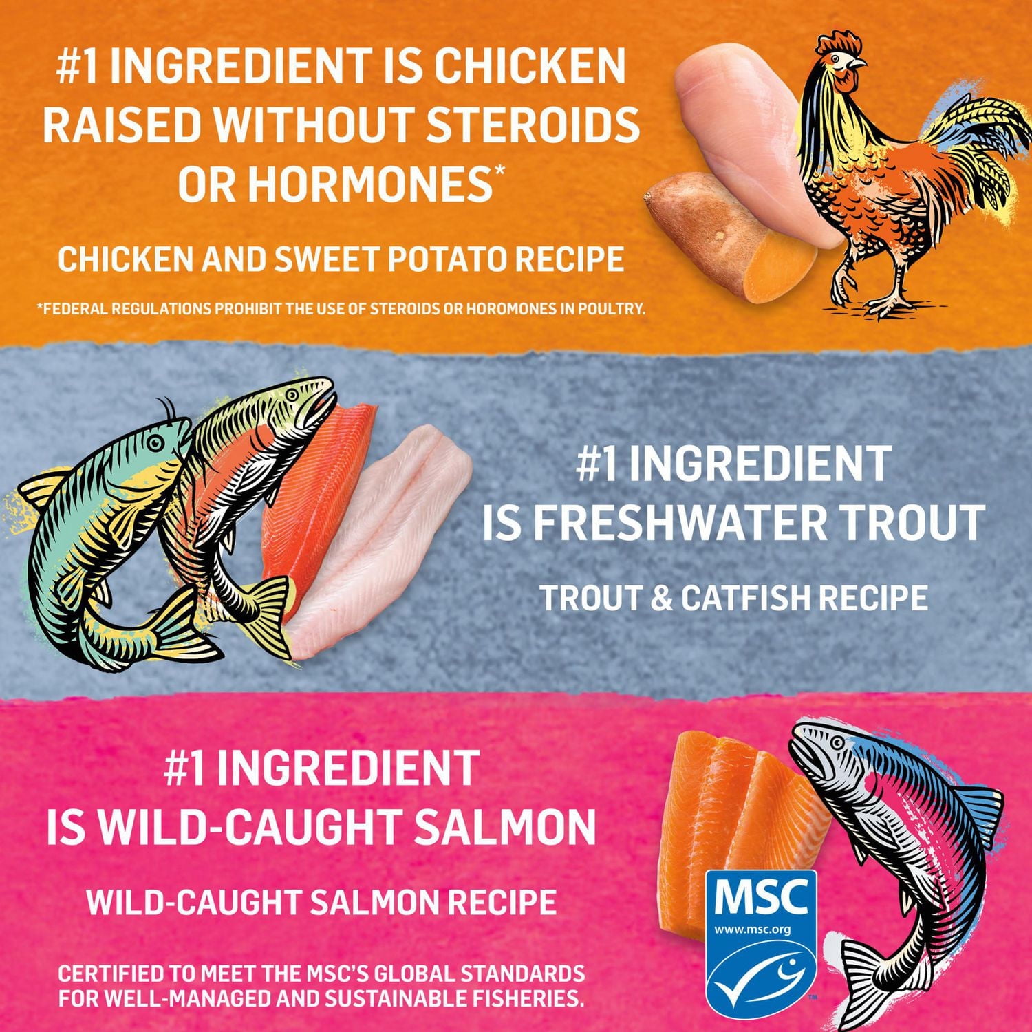 Beyond Grain Free Pâté Variety Pack, Wet Cat Food 12x85g, 12 X 85g